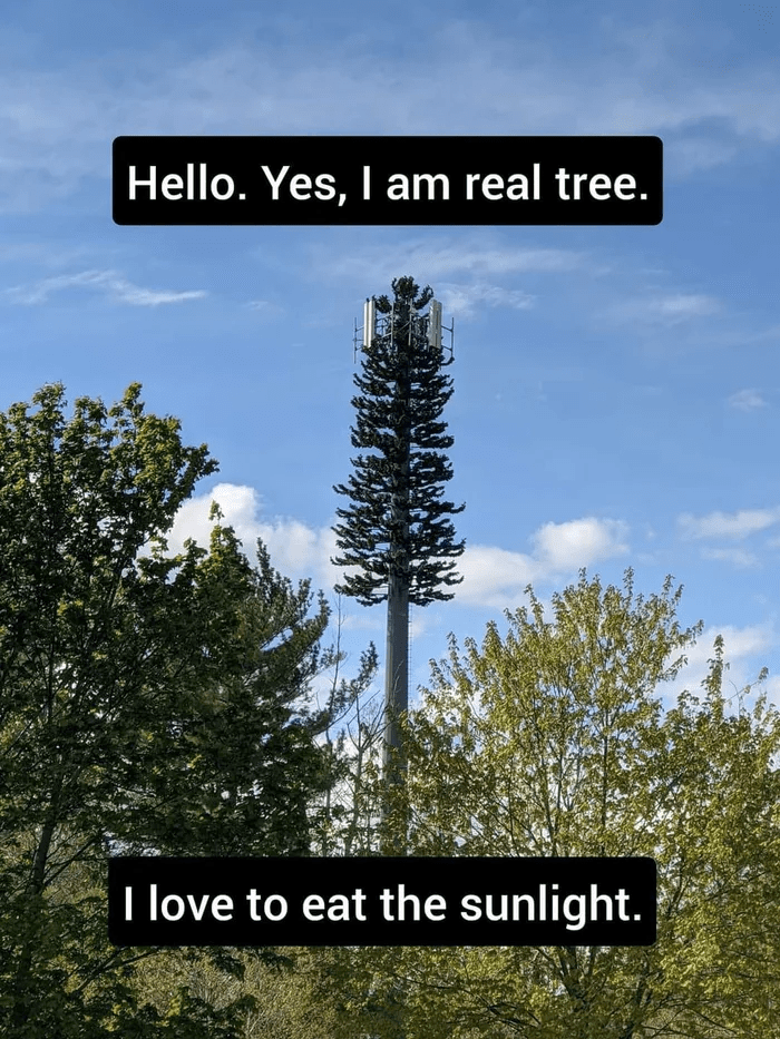funny gaming memes - hello yes i am real tree - Hello. Yes, I am real tree. I love to eat the sunlight.