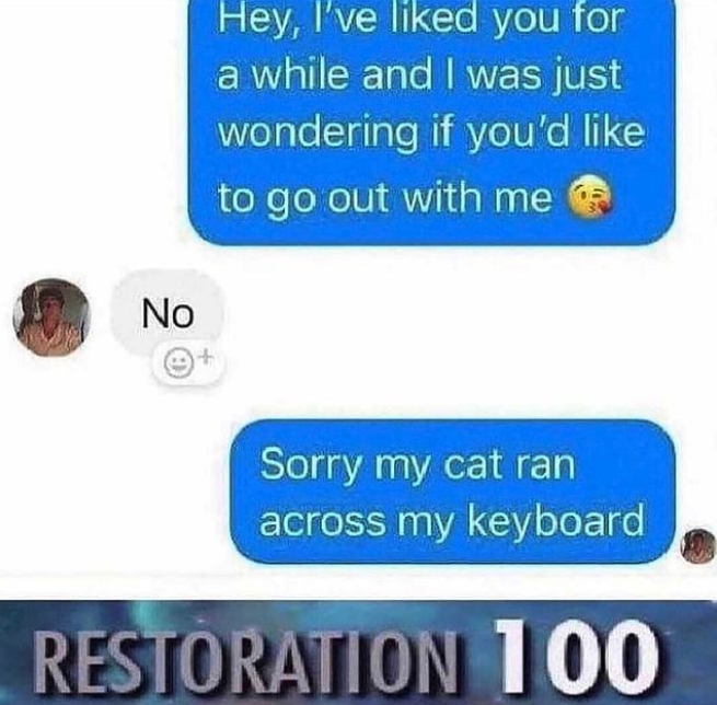 funny gaming memes - speech 100 text meme - Hey, I've d you for a while and I was just wondering if you'd to go out with me No Sorry my cat ran across my keyboard Restoration 100