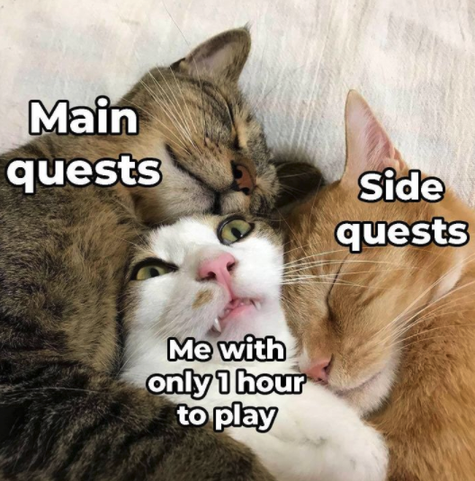 funny gaming memes - sandwiched meme - Main quests Side quests Me with only 1 hour to play