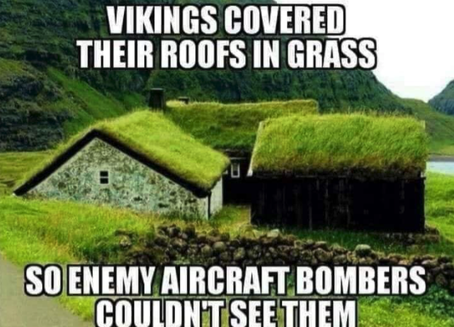 funny gaming memes - vikings cover their roofs in grass - Vikings Covered Their Roofs In Grass So Enemy Aircraft Bombers Couldn'T See Them