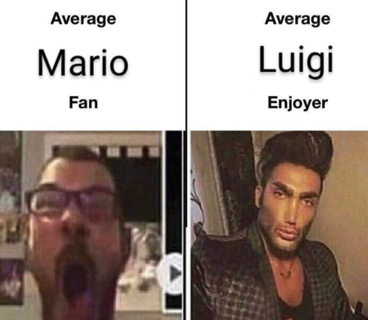 funny gaming memes - average fan vs average enjoyer template - Average Average Mario Fan Luigi Enjoyer
