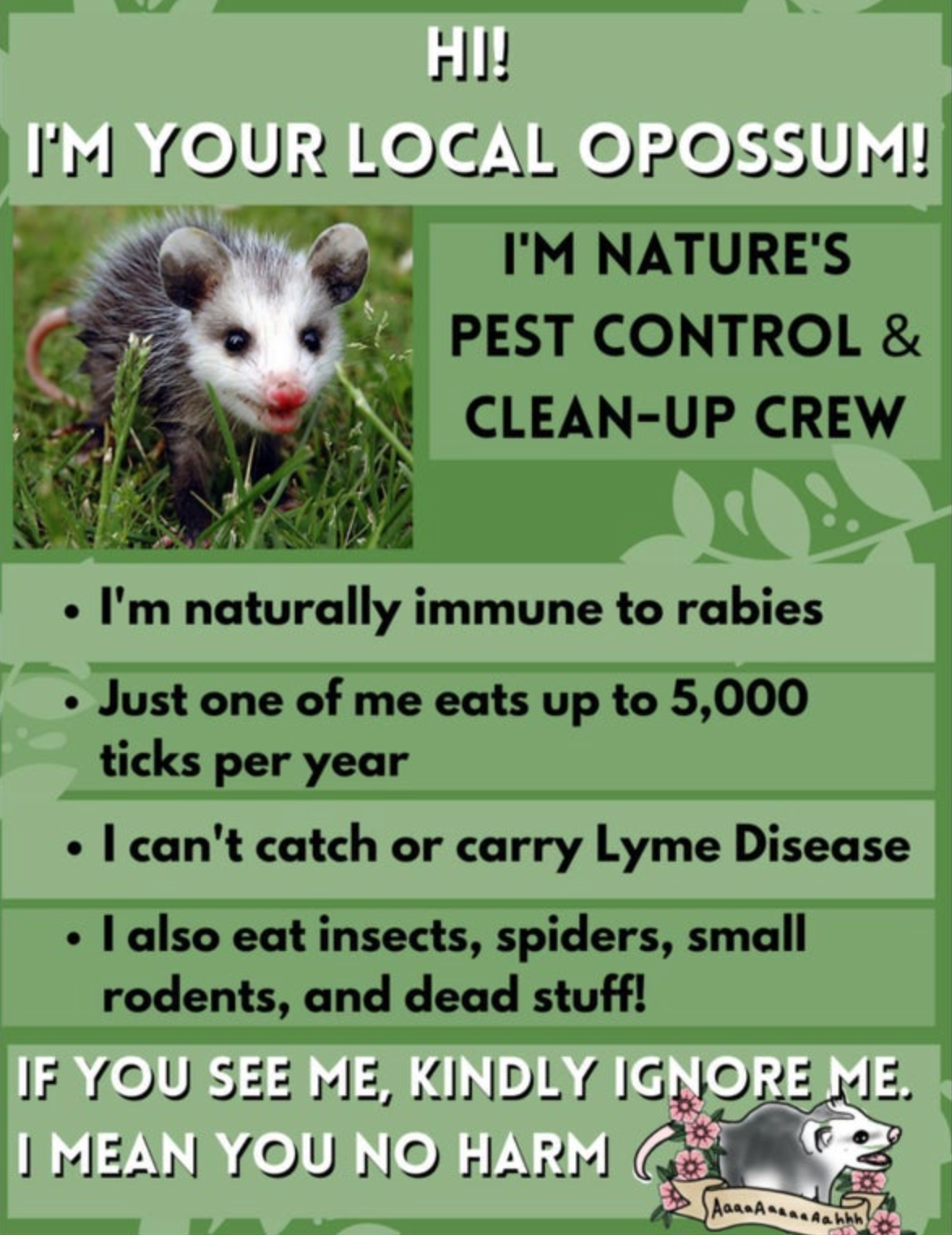 helpful guides to life - possums are part of the neighborhood pest control