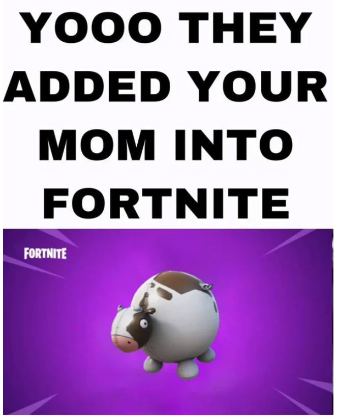funny gaming memes - snout - Yooo They Added Your Mom Into Fortnite Fortnite