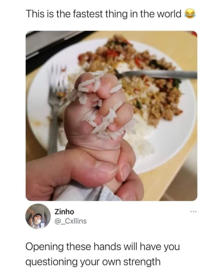 cool and funny pics - fastest thing in the world - This is the fastest thing in the world Zinho Opening these hands will have you questioning your own strength
