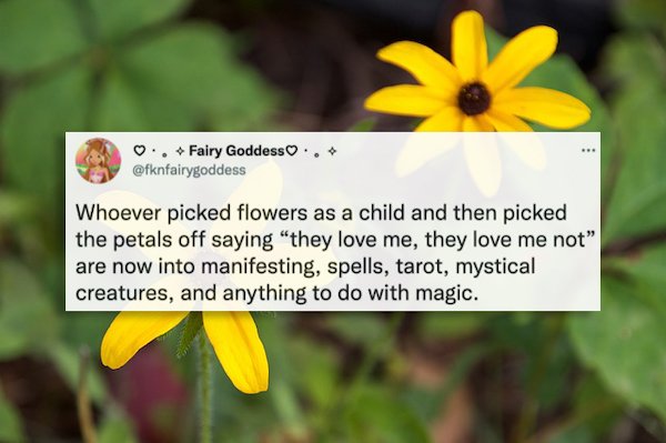 relatable pics that speak the truth - flora - Fairy Goddess.. Whoever picked flowers as a child and then picked the petals off saying "they love me, they love me not" are now into manifesting, spells, tarot, mystical creatures, and anything to do with mag