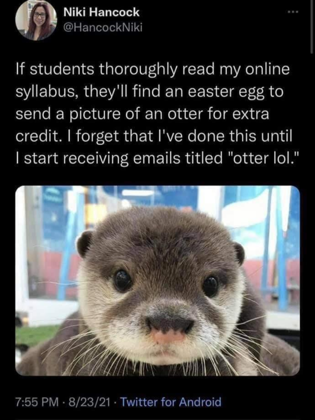 Niki Hancock If students thoroughly read my online syllabus, they'll find an easter egg to send a picture of an otter for extra credit. I forget that I've done this until I start receiving emails titled "otter lol." 82321 Twitter for Android