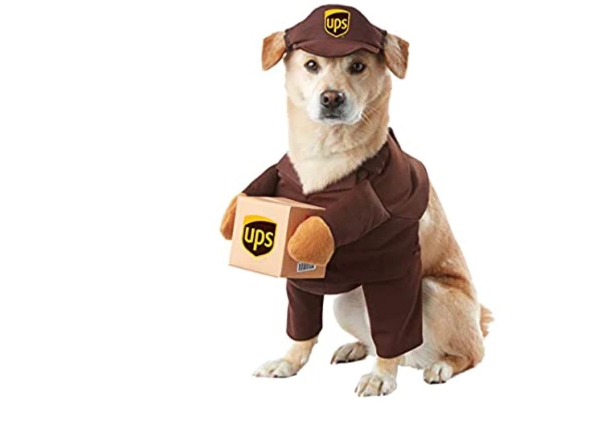 halloween costumes dogs - ups dog costume - sdn sdn
