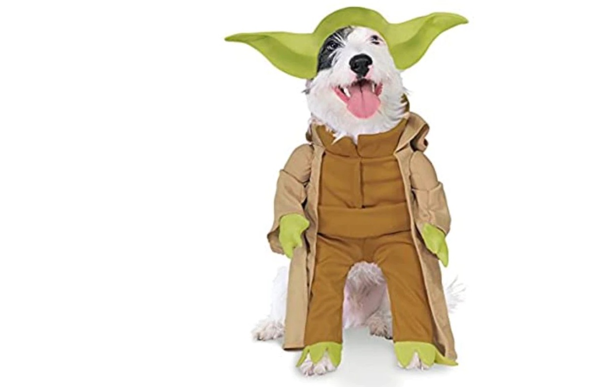 halloween costumes dogs - star wars dog costume