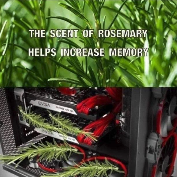 funny gaming memes - rosemary improves memory meme - The Scent Of Rosemary Helps Increase Memory Ensa