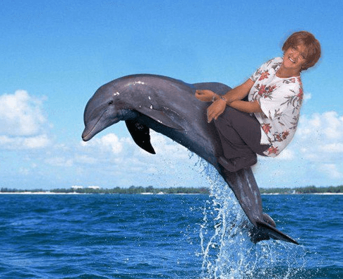 photoshop fails - jumping dolphin