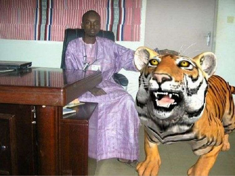 This guy looks really calm for having a tiger right next to him.