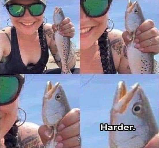 funny gaming memes  - harder fish meme - Harder.
