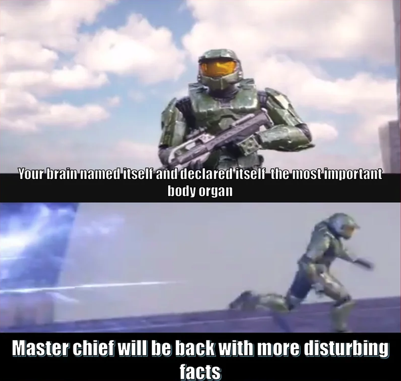 funny gaming memes  - troll in the dungeon - Your brain named itself and declared'itself the most important body organ Master chief will be back with more disturbing facts