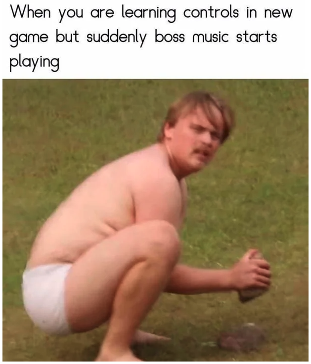 funny gaming memes  - boss music starts playing - When you are learning controls in new game but suddenly boss music starts playing