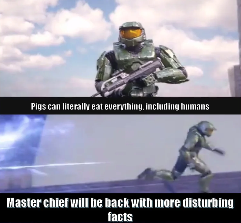 funny gaming memes  - extreme sport - Pigs can literally eat everything, including humans Master chief will be back with more disturbing facts