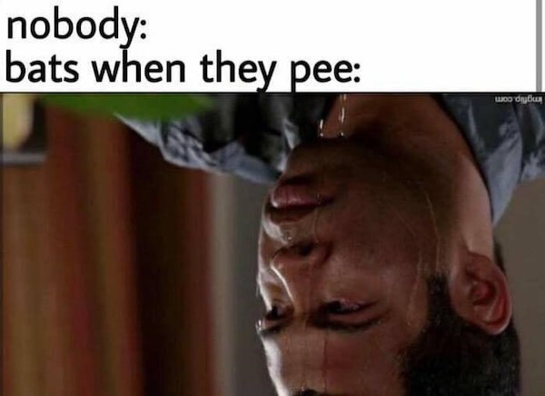 bats pee meme - nobody bats when they pee body