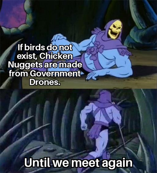 conspiracy theory memes - skeletor will be back meme - If birds do not exist, Chicken Nuggets are made from Government Drones. Until we meet again