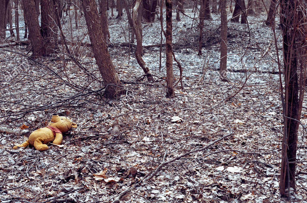 15 Most Peculiar and Unsettling Things Abandoned in the Woods