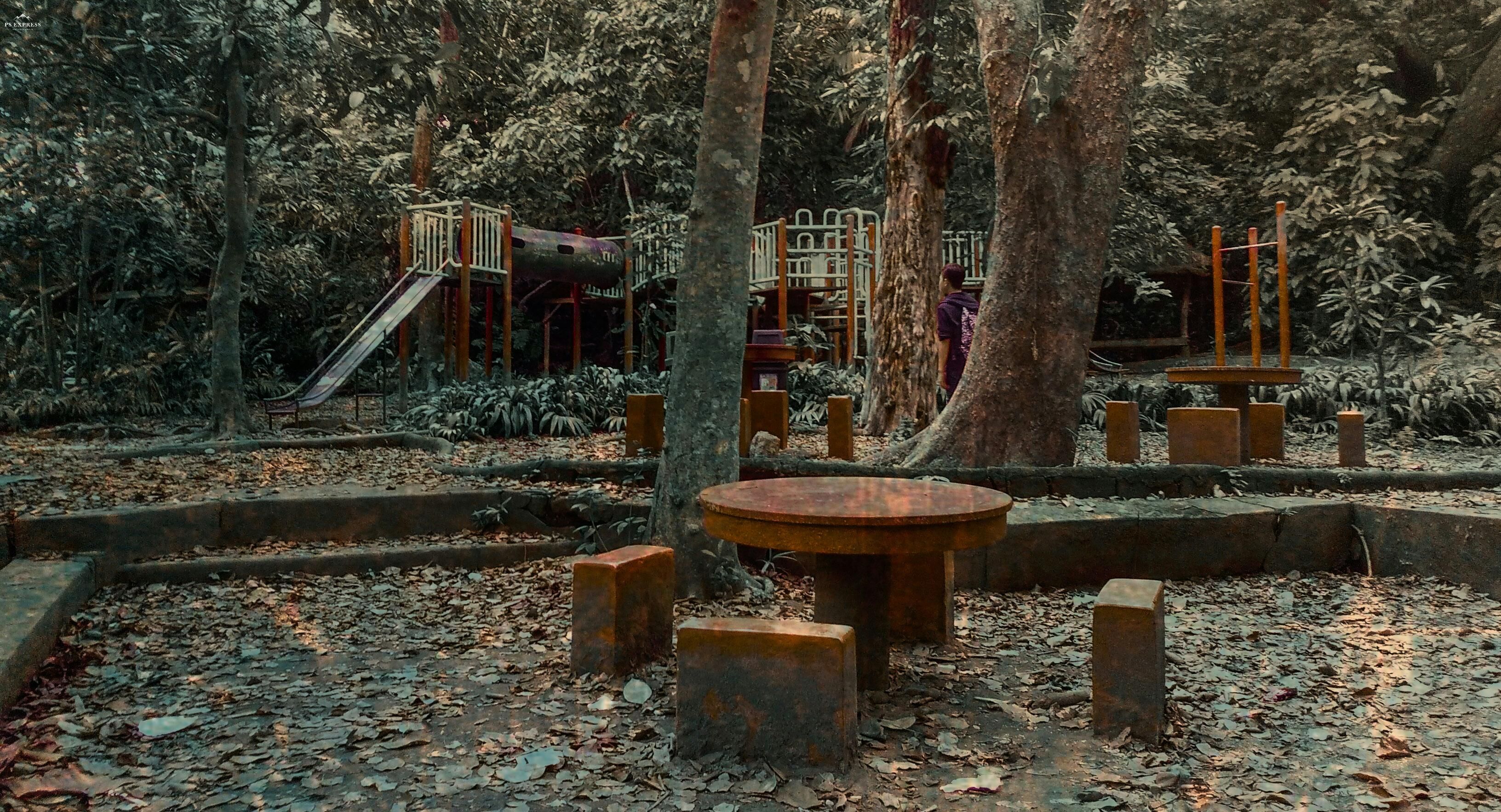 abandoned playground in woods