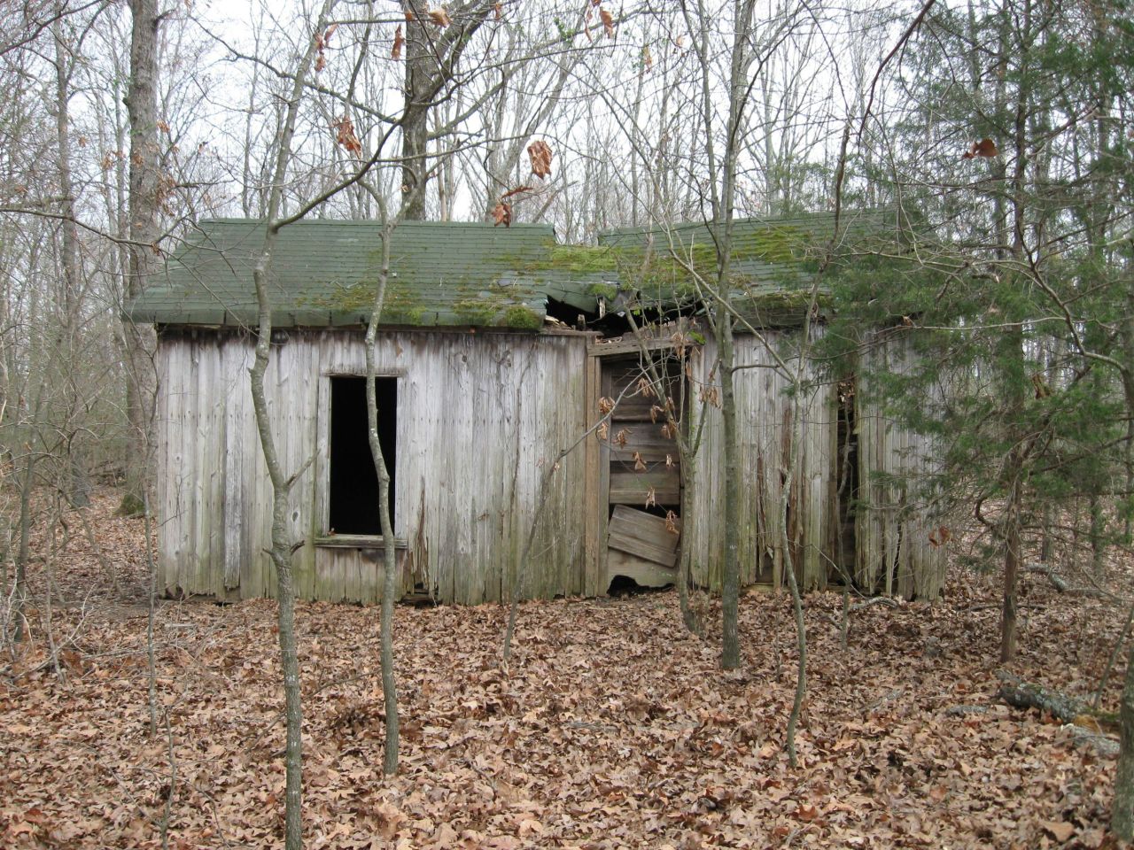shack in the middle of the woods