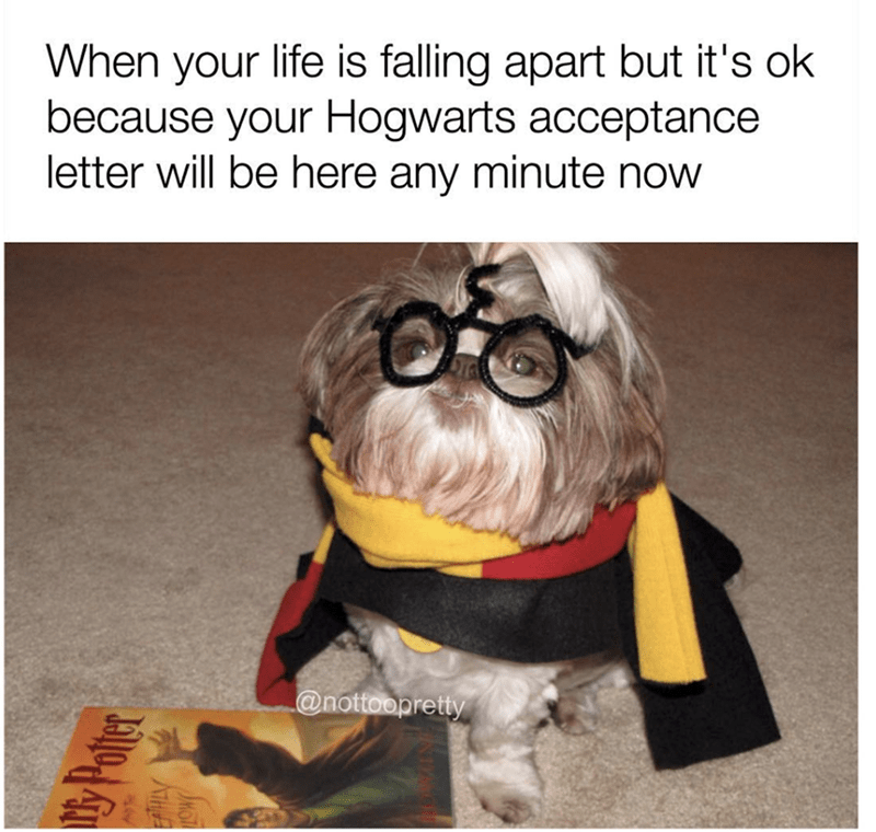 relatable memes - funny relatable memes - When your life is falling apart but it's ok because your Hogwarts acceptance letter will be here any minute now Hv Skol
