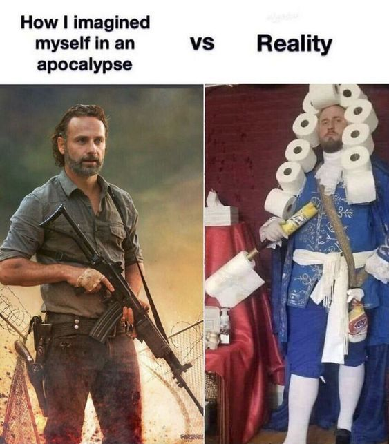 funny pics and memes - teepee meme - How I imagined myself in an apocalypse Vs Reality 346
