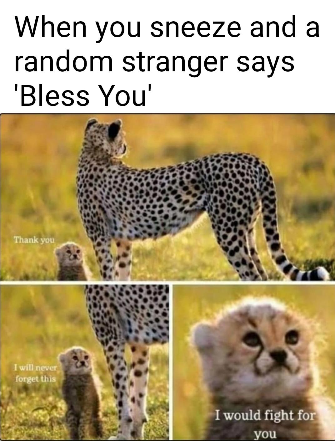 funny pics and memes - thank you i will never forget this meme - When you sneeze and a random stranger says 'Bless You Thank you I will never forget this I would fight for you