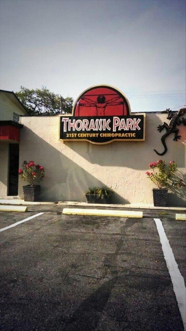 funny cool and random pics -Thorassic Park 21ST Century Chiropractic