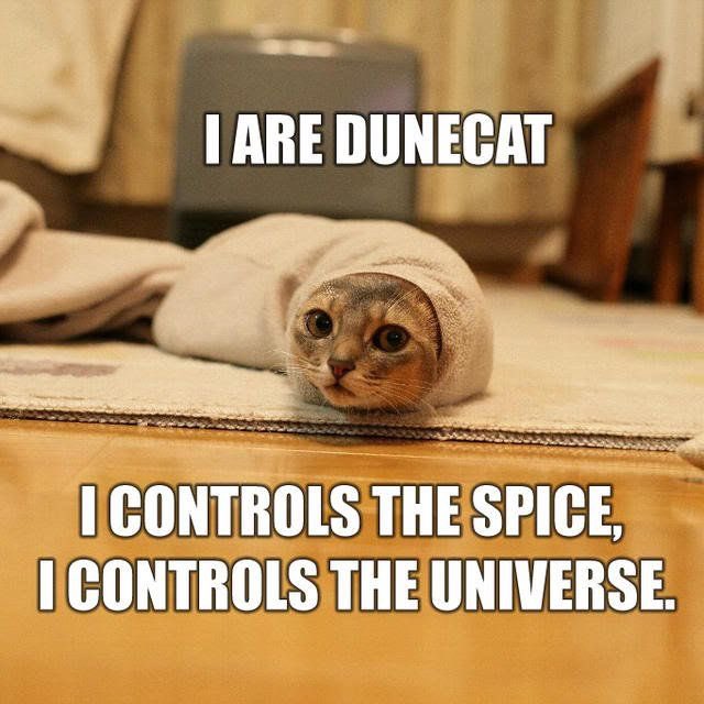 dune memes  - dune cat - I Are Dunecat I Controls The Spice, I Controls The Universe.