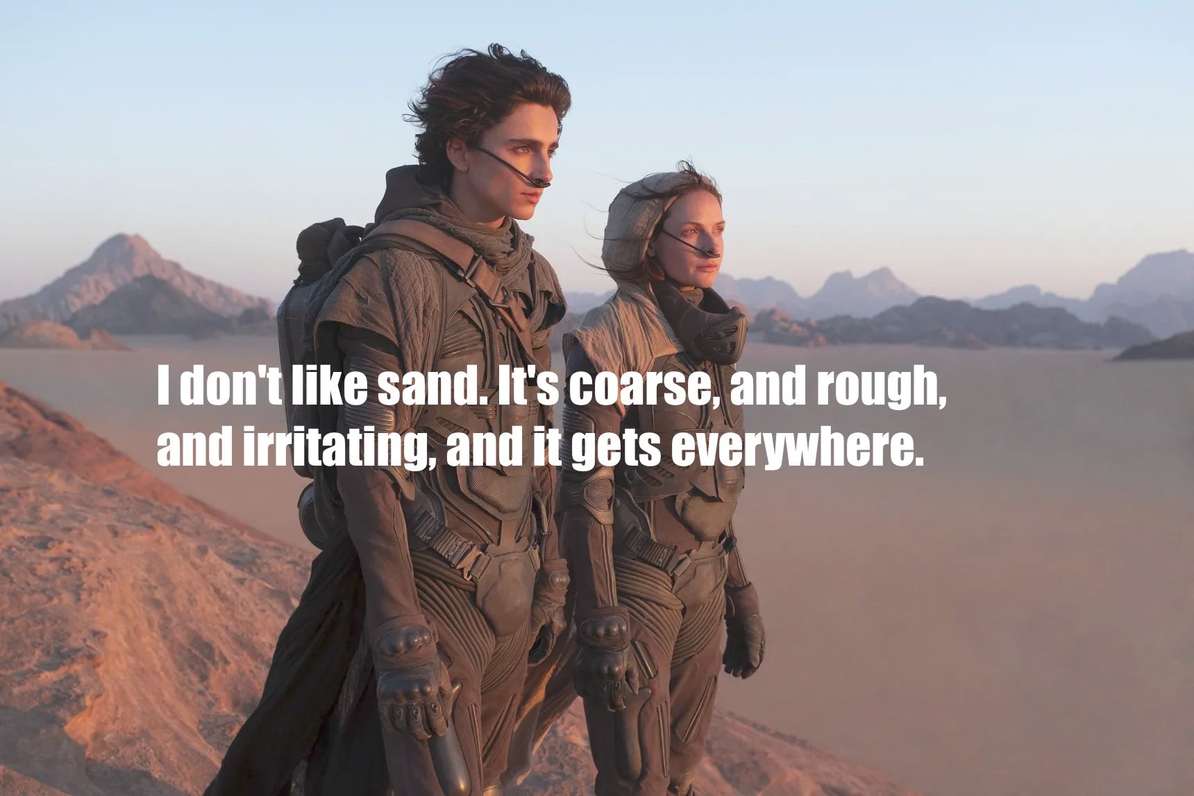dune memes  - dune 2020 - I don't sand. It's coarse, and rough, and irritating, and it gets everywhere.