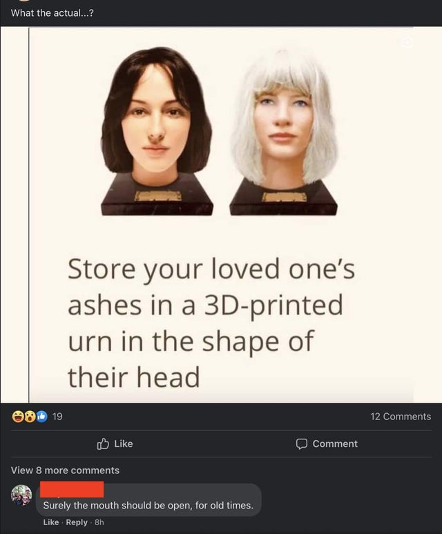 savage comments and replies - head - What the actual...? Store your loved one's ashes in a 3Dprinted urn in the shape of their head 19 12 Comment View 8 more Surely the mouth should be open, for old times. 8h