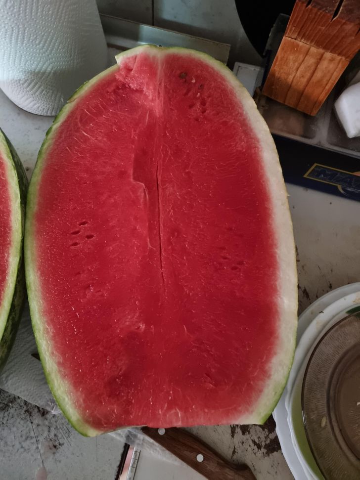 cool and fascinating things - watermelon with no seeds