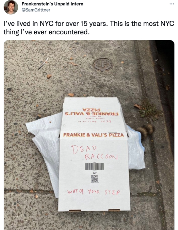 Funny Tweets  - - Frankenstein's Unpaid Intern I've lived in Nyc for over 15 years. This is the most Nyc thing I've ever encountered. VzZid Shva 831>Invi >> Frankie & Vali'S Pizza Dead .Raccoon Watch Your Step