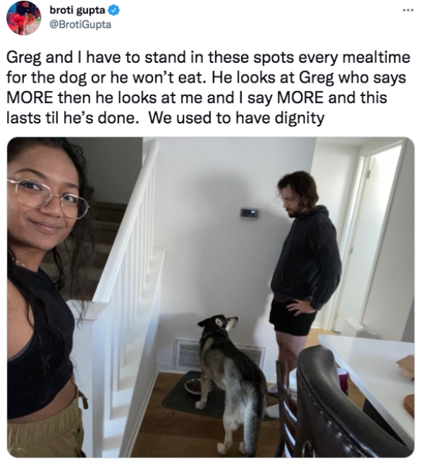 Funny Tweets  - pet - . broti gupta Greg and I have to stand in these spots every mealtime for the dog or he won't eat. He looks at Greg who says More then he looks at me and I say More and this lasts til he's done. We used to have dignity
