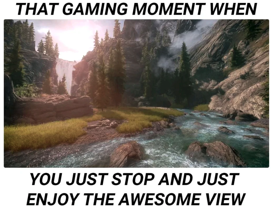 gaming memes  - skyrim graphic mod - That Gaming Moment When You Just Stop And Just Enjoy The Awesome View