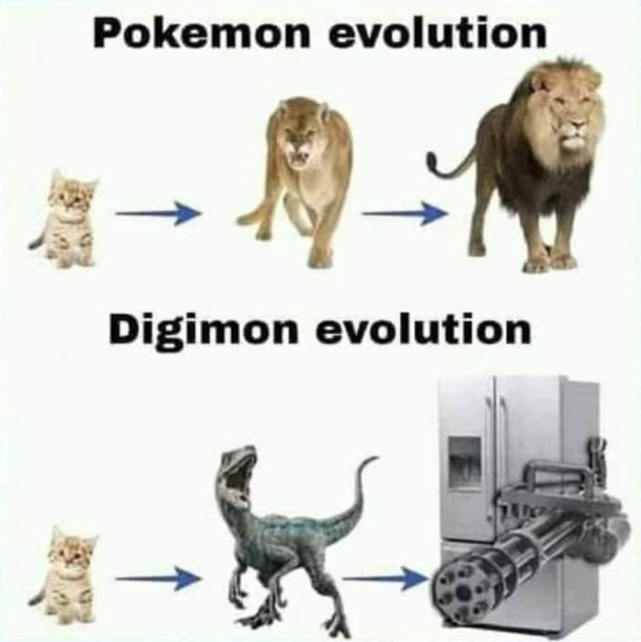 funny gaming memes  - pokemon evolution digimon evolution meme - Pokemon evolution Digimon evolution