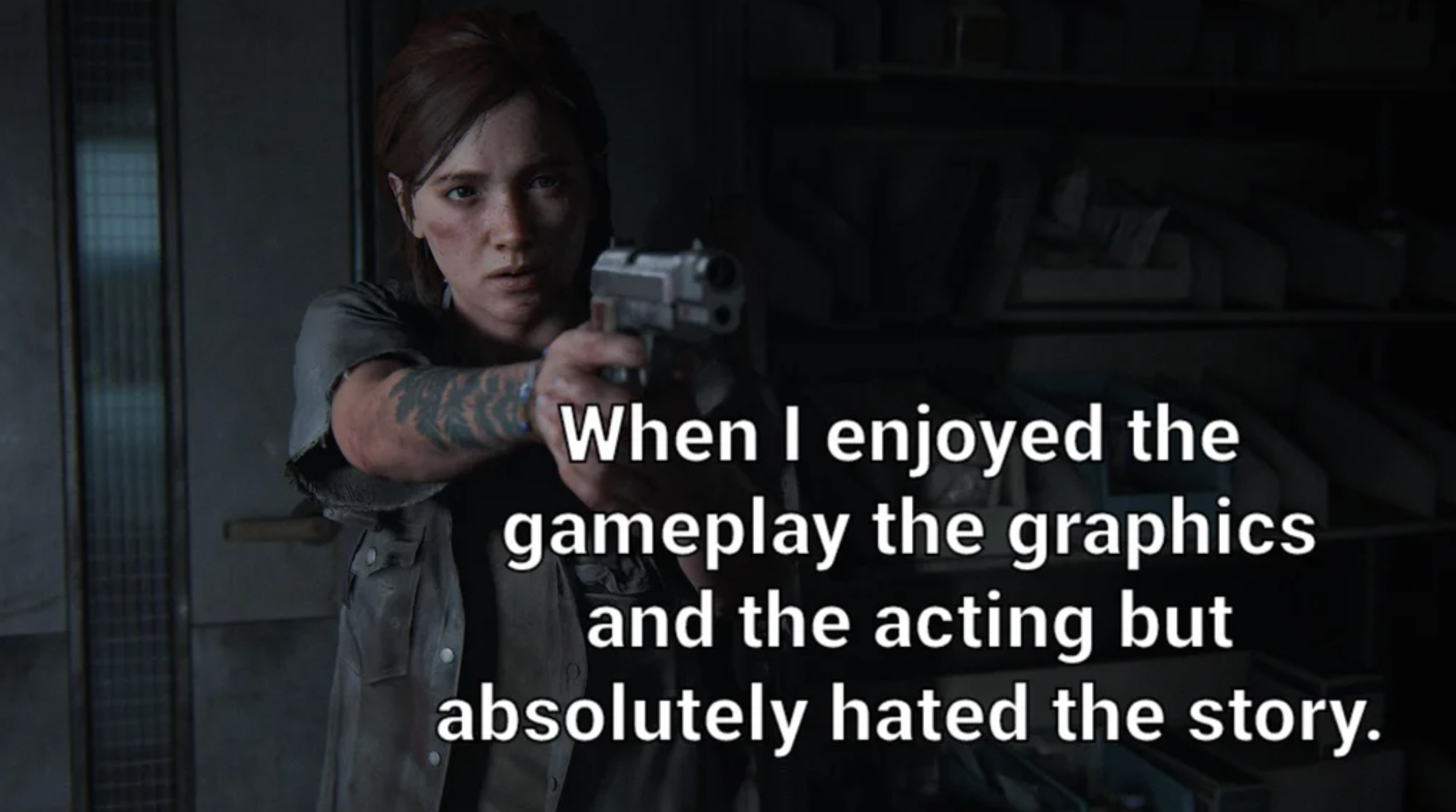 funny gaming memes  - photo caption - When I enjoyed the gameplay the graphics and the acting but absolutely hated the story.