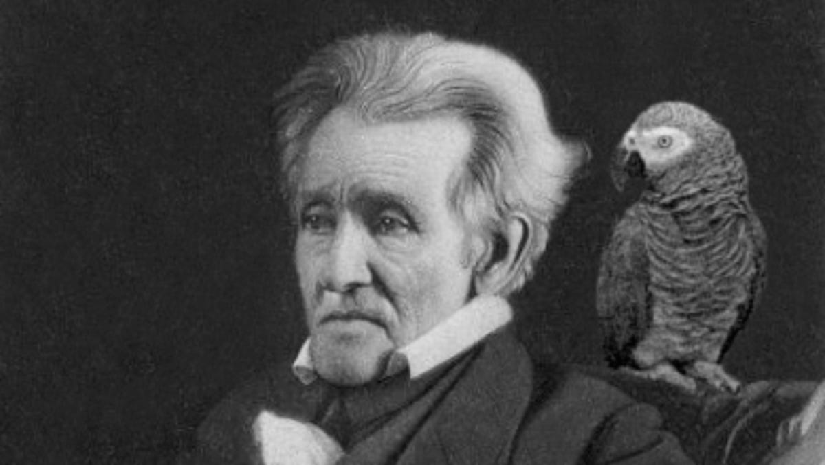 Wild Tales From History --  andrew jackson photograph