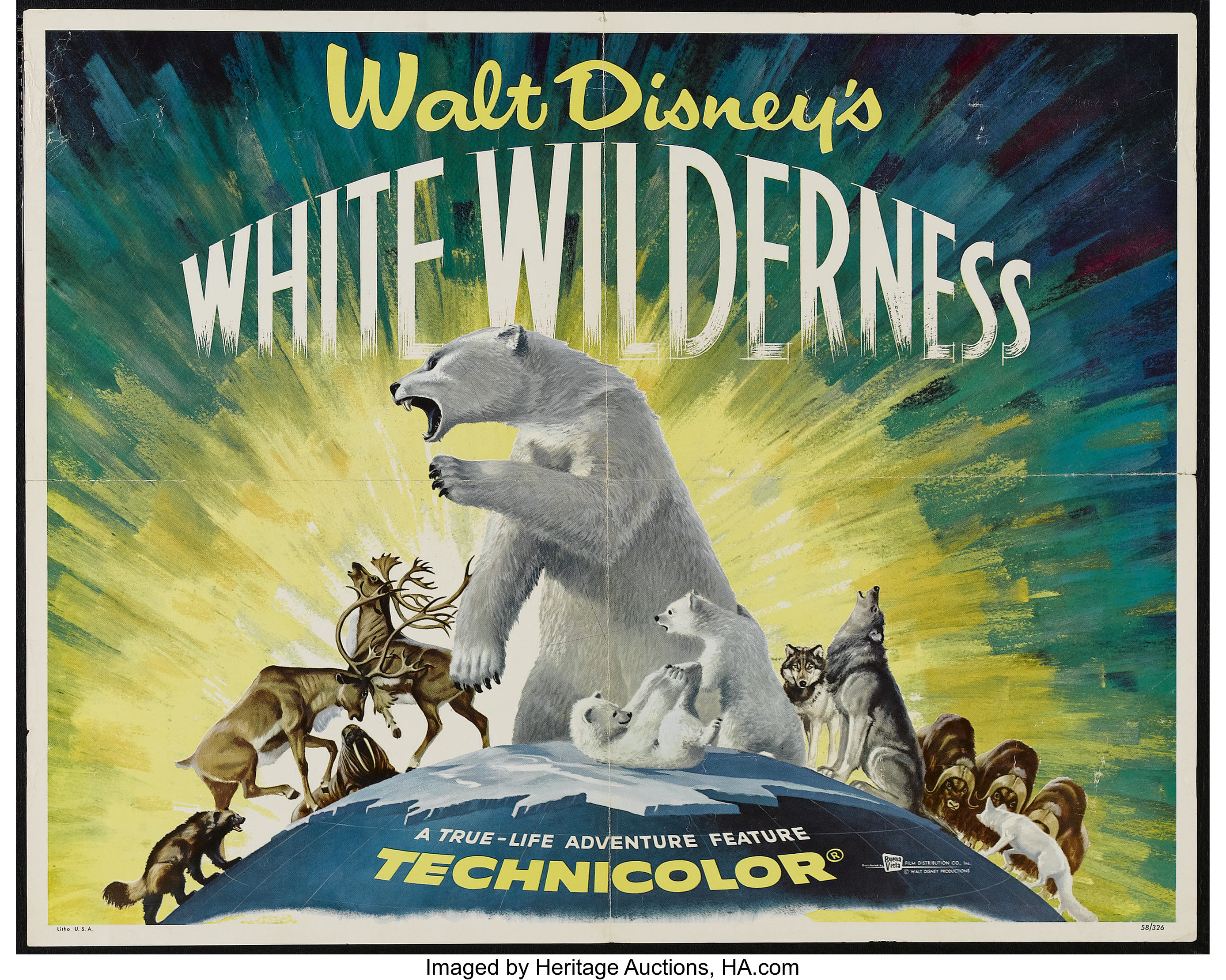 Wild Tales From History - white wilderness disney - Walt Disney's White Wilderness Lire Aventure La Technicolor