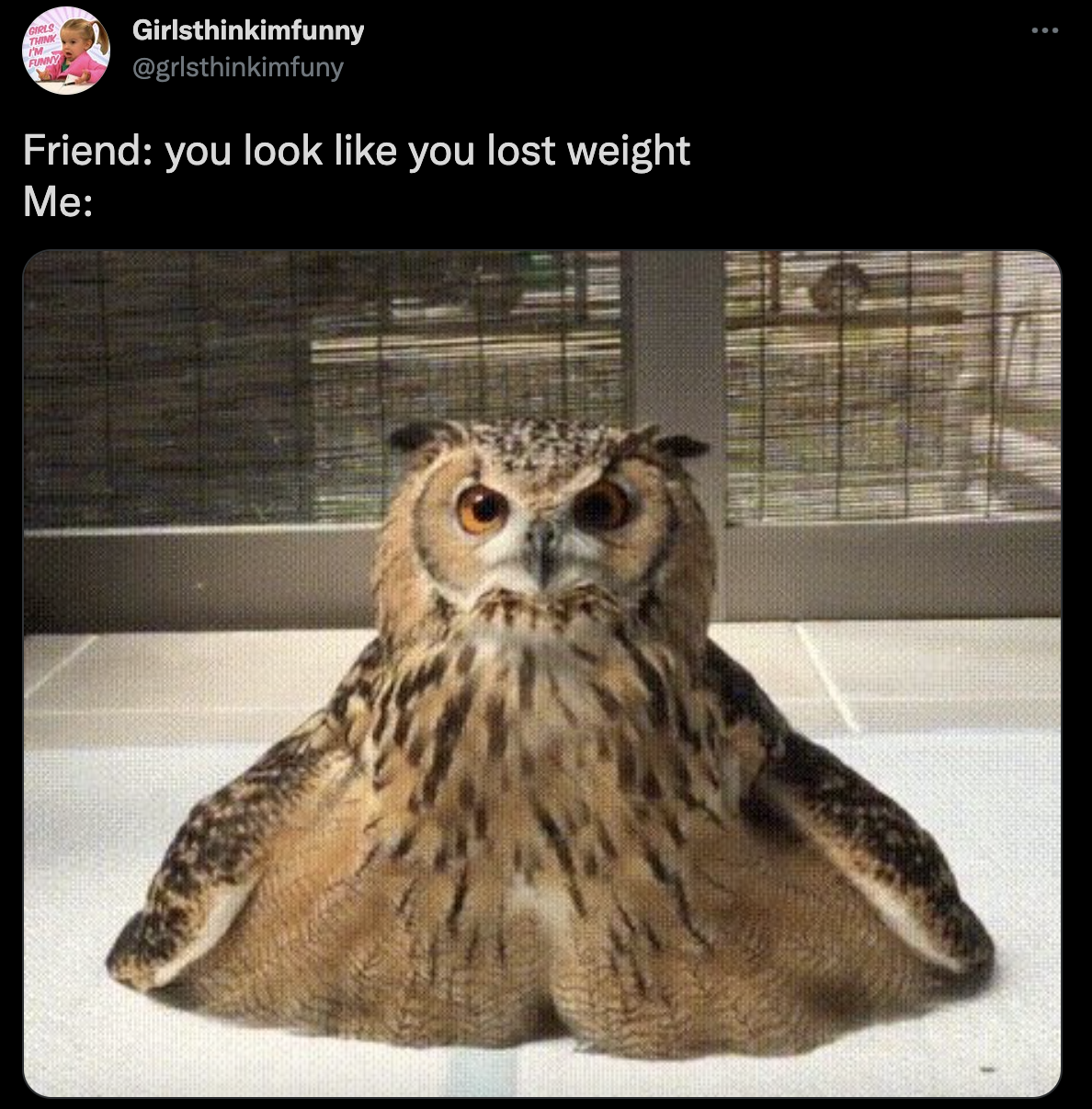 melting owl gif - Girlsthinkimfunny Friend you look you lost weight Me