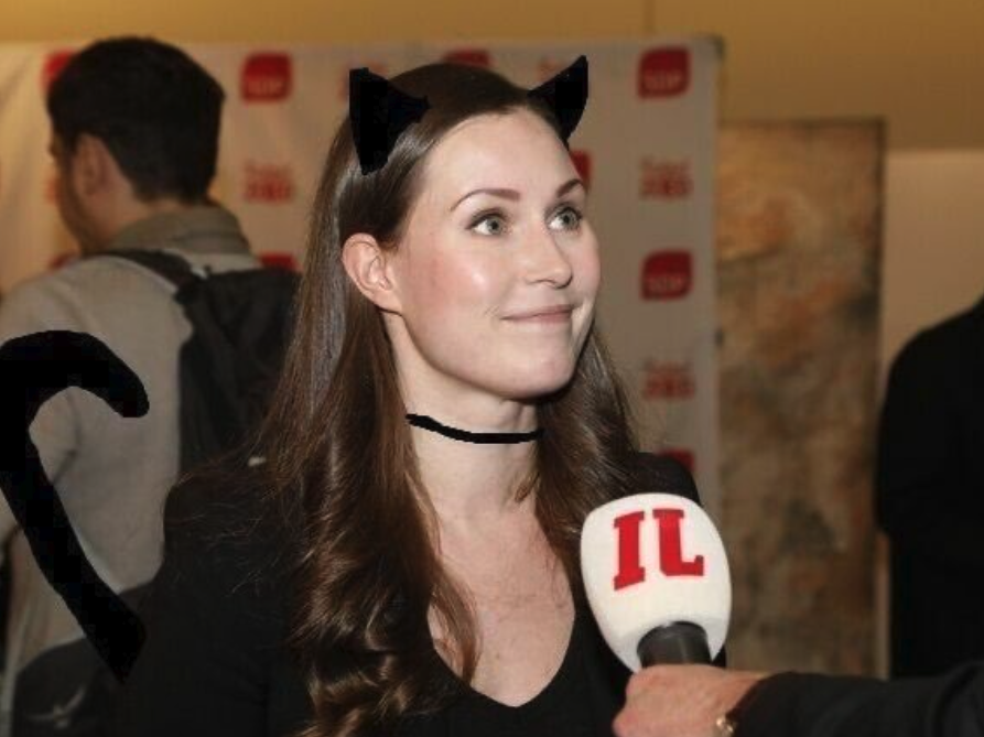 Finland PM Catgirl - Sanna Marin as a catgirl