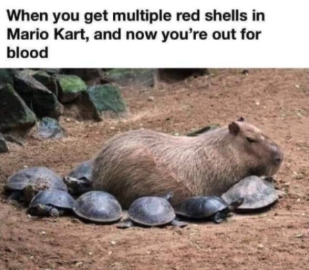 funny gaming memes  - capybara radiate peace - When you get multiple red shells in Mario Kart, and now you're out for blood
