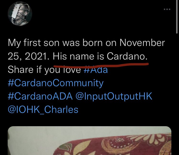 Crypto Bros Posting L's - screenshot - My first son was born on . His name is Cardano. if you love HAda 88