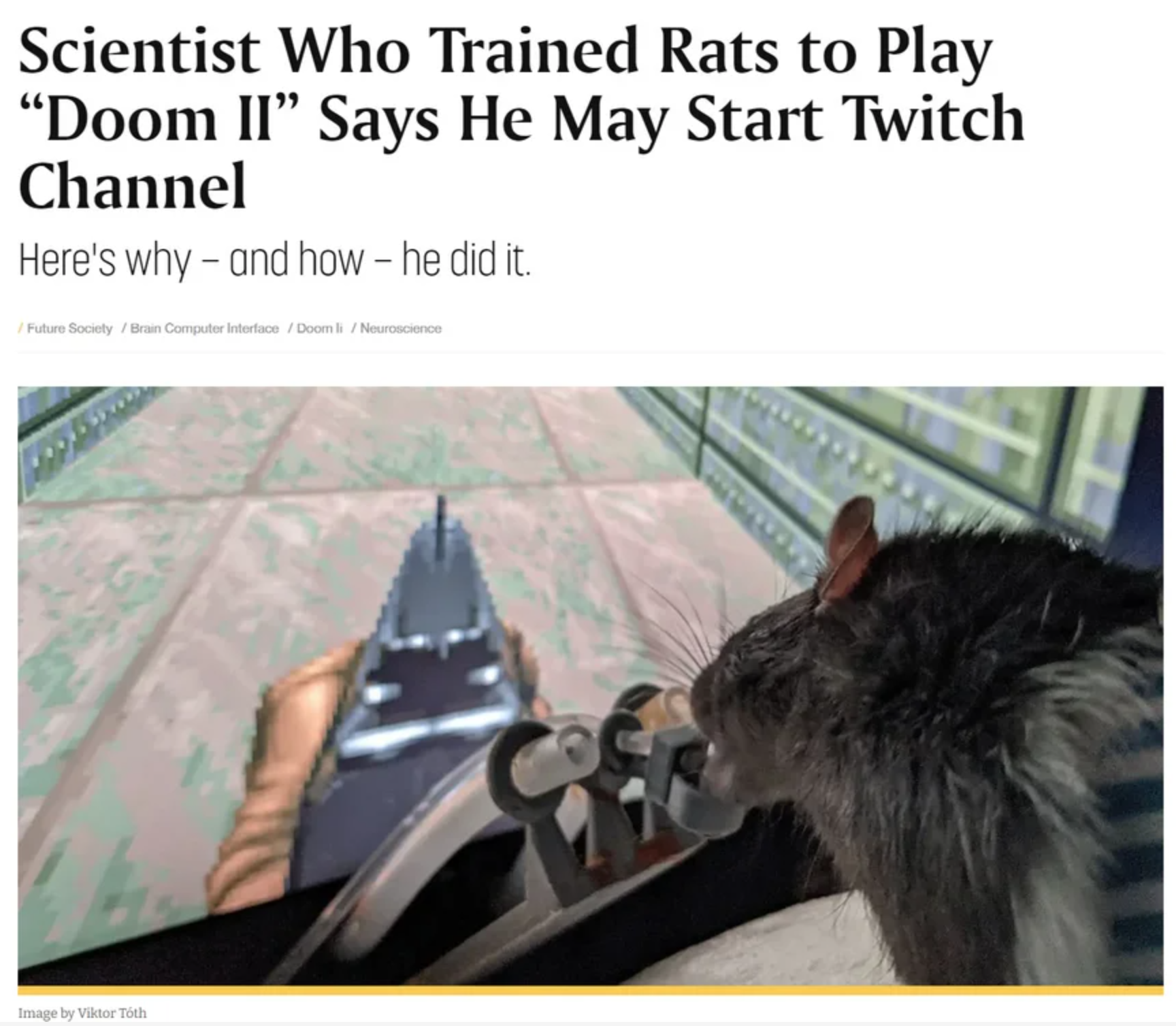 funny gaming memes - quotes - Scientist Who Trained Rats to Play Doom Ii Says He May Start Twitch Channel Here's why and how he did it. Plan Society in Computer alios On Home Ver