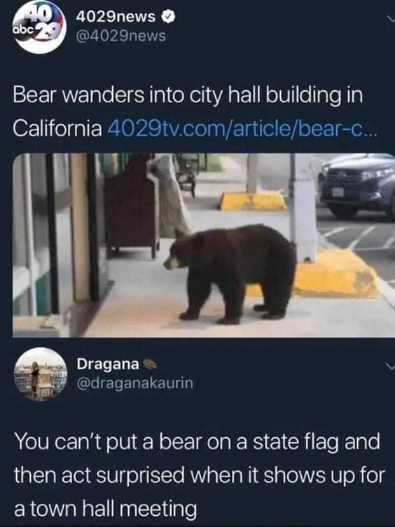 wtf memes - bear wanders into city hall - 404029news abc Bear wanders into city hall building in California 4029tv.comarticlebearc... Dragana You can't put a bear on a state flag and then act surprised when it shows up for a town hall meeting
