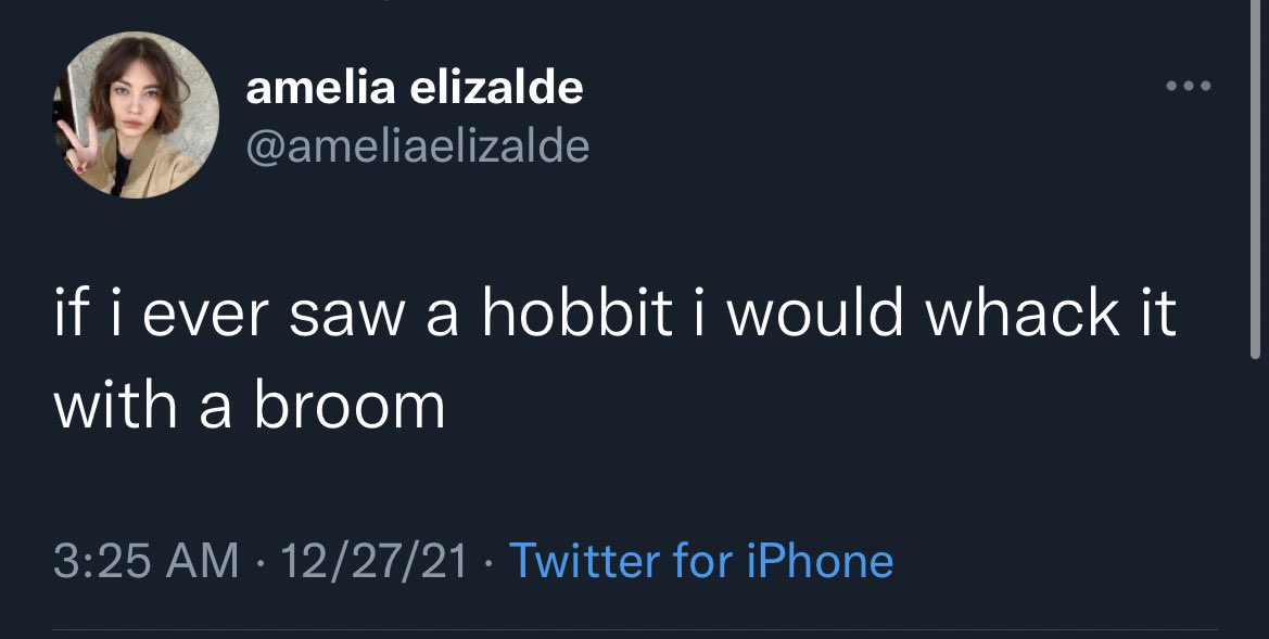 wtf tweets - chungus among us 2010 - . amelia elizalde if i ever saw a hobbit i would whack it with a broom 122721 Twitter for iPhone