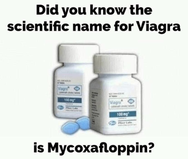 dirty memes - drug - Did you know the scientific name for Viagra 100 mg Viagra 100 mg is Mycoxafloppin?