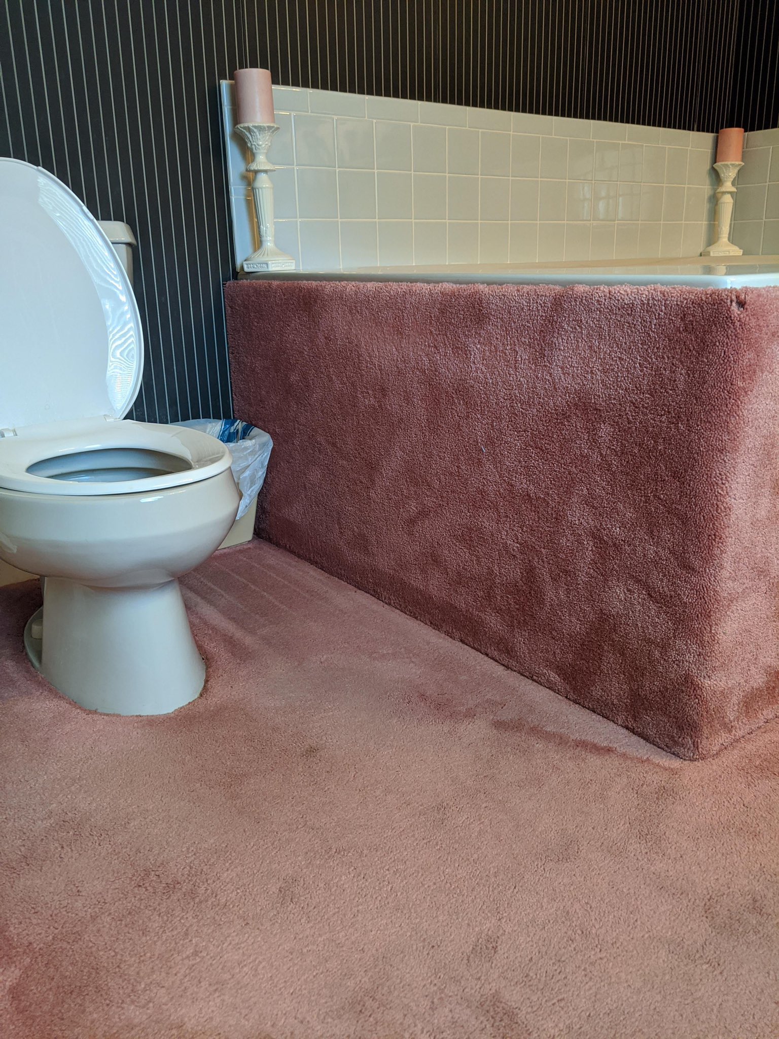 threatening bathrooms - bathroom with carpet