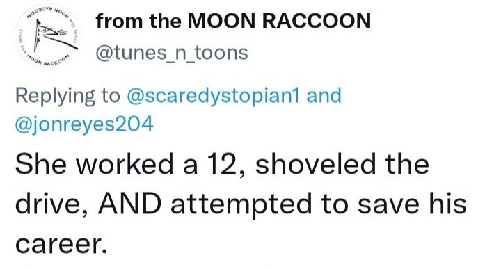 Husband Roasts For Snow Shoveling Tweet - Noon 2009 Free from the Moon Raccoon Noon Acao and She worked a 12, shoveled the drive, And attempted to save his career.