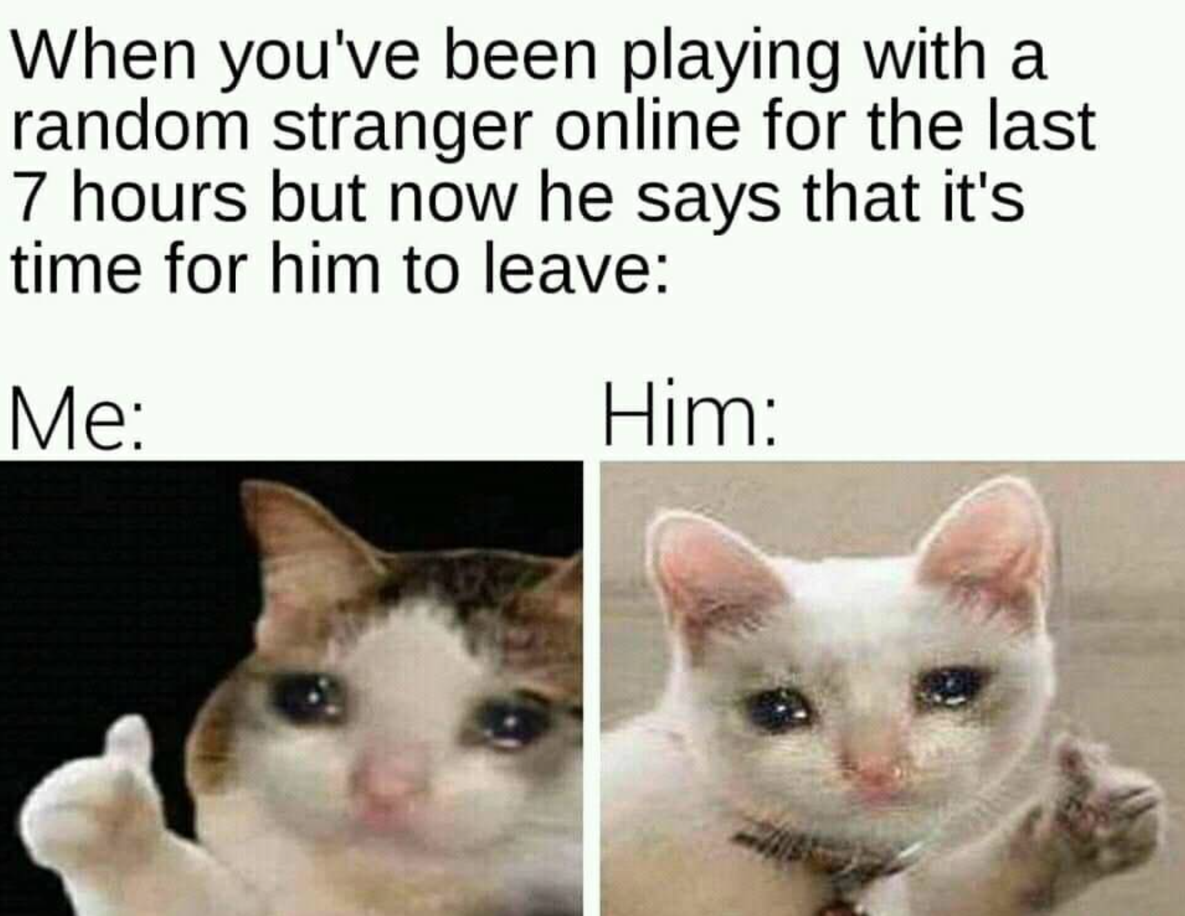 funny gaming memes  - online stranger memes - When you've been playing with a random stranger online for the last 7 hours but now he says that it's time for him to leave Me Him